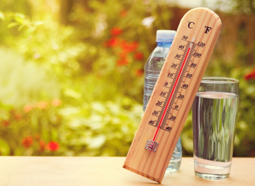 Canicule