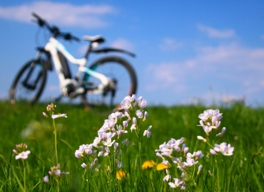 balade vélo