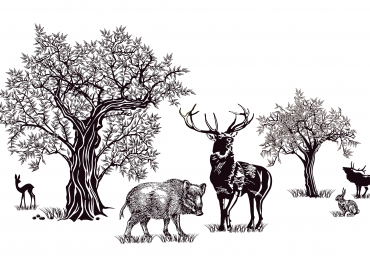 chasse