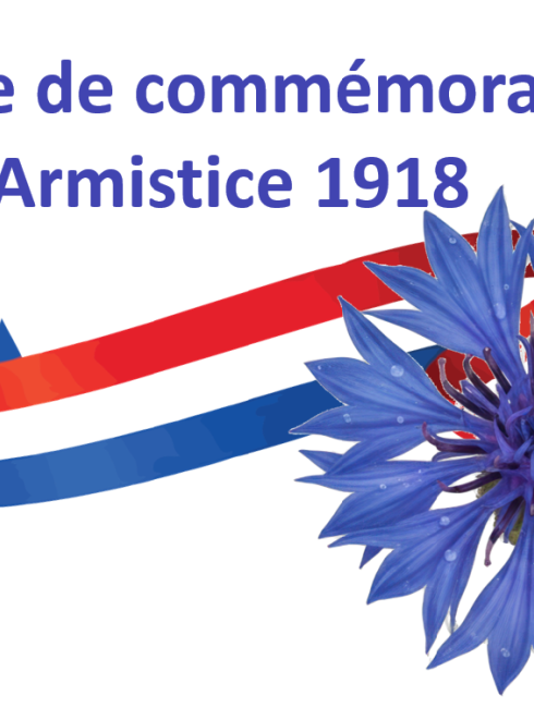11 novembre 