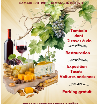 AFFICHE SALON VINS ET TERROIRS