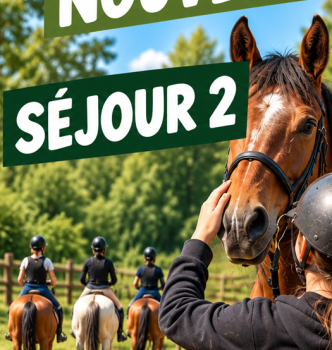 SEJOUR 2 automne