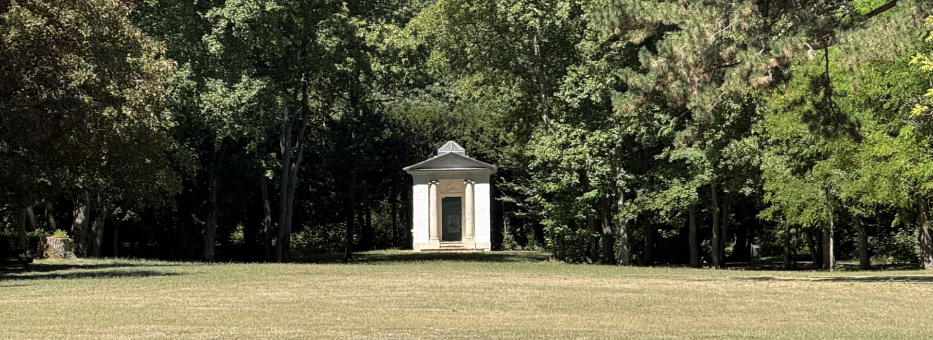 Temple de david 