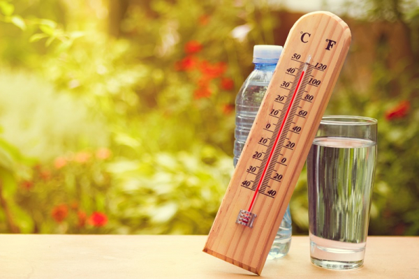 Canicule