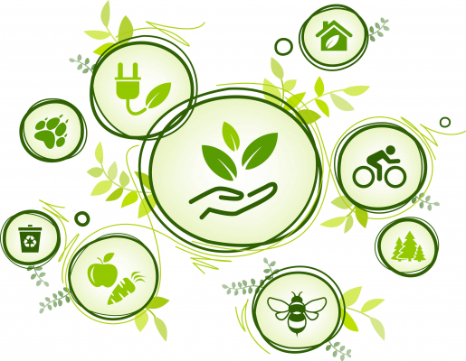Développement durable