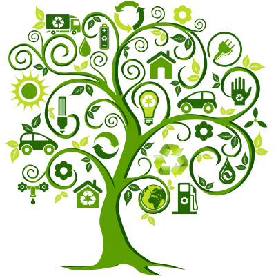 Développement durable 