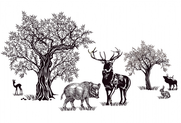 chasse