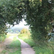 Autour du Biotope