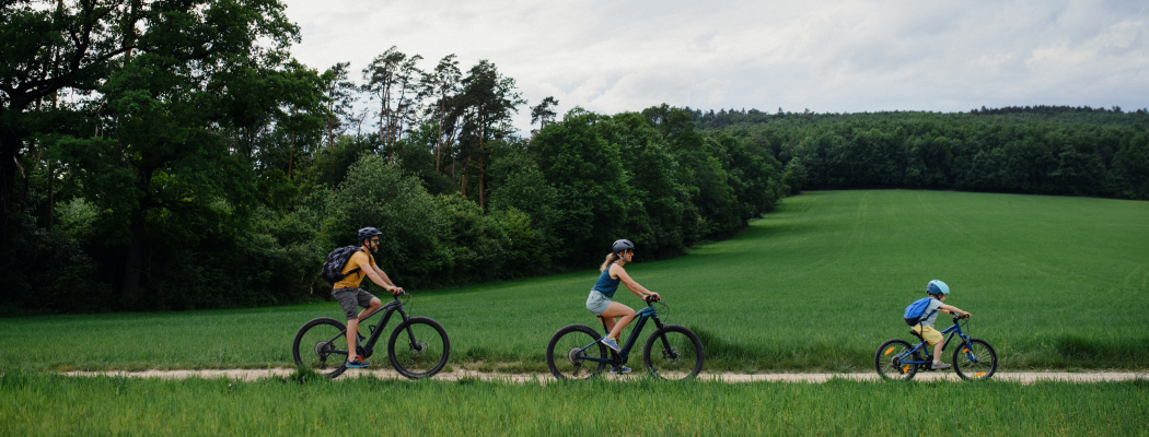 rando sur route