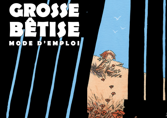grosse bétise