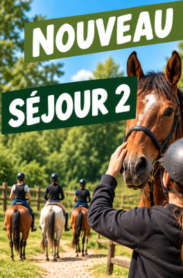 SEJOUR 2 automne