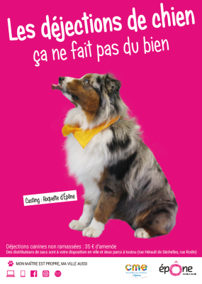 PROPRETE CHIEN 1