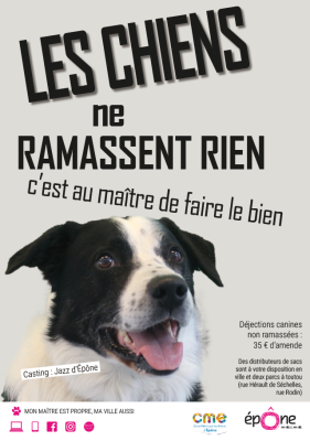 propreté chien 2