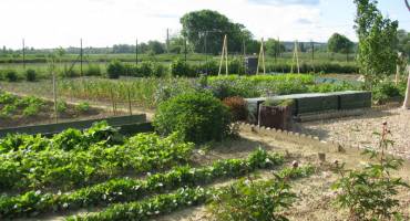 Jardins familiaux