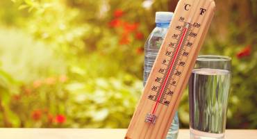 Canicule