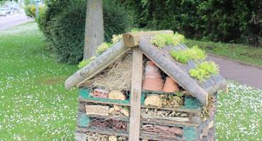 Hôtel à insecte