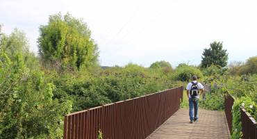 Balade Epone nature