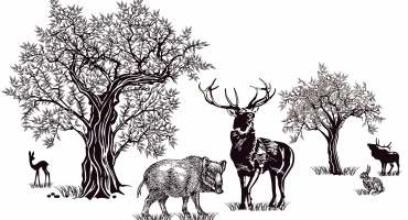 chasse