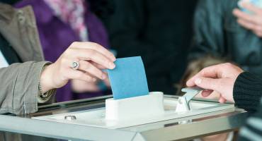 voter