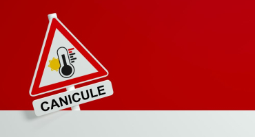 canicule rouge