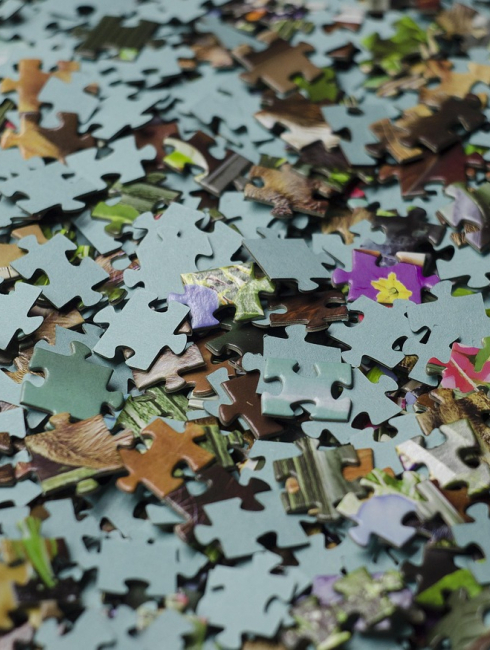 concours de puzzle