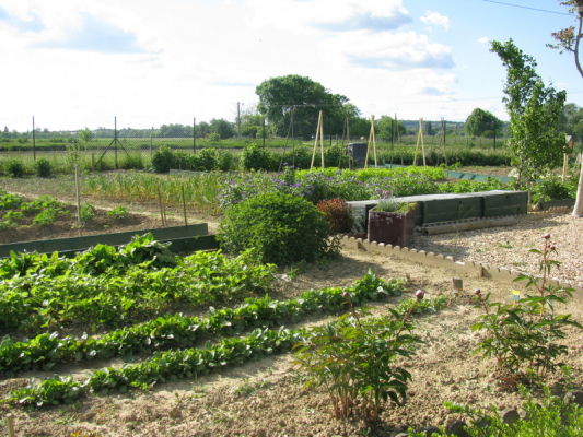 Jardins familiaux
