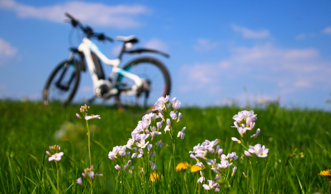 balade vélo