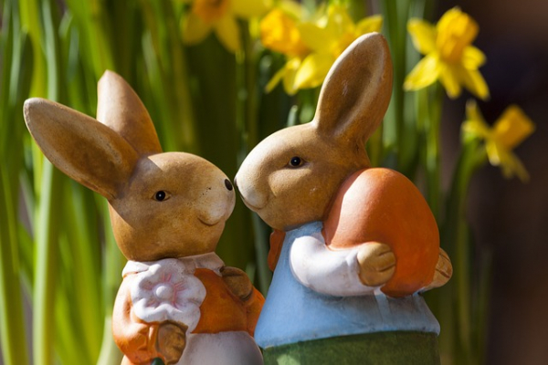 Lapins