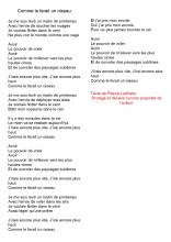 Poème adulte - Comme le ferait un oiseau - Pascal Ladhalle
