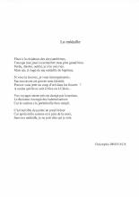 Poème adulte - La médaille - Christophe Droyaux