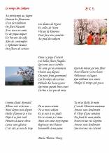 Poème adulte - Le temps des sakura - Marie-Thérèse Vinoy